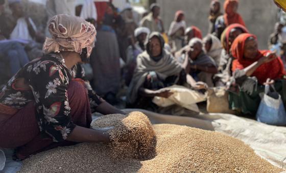 WFP pauses food distribution in Ethiopia following ‘significant diversion’ of aid